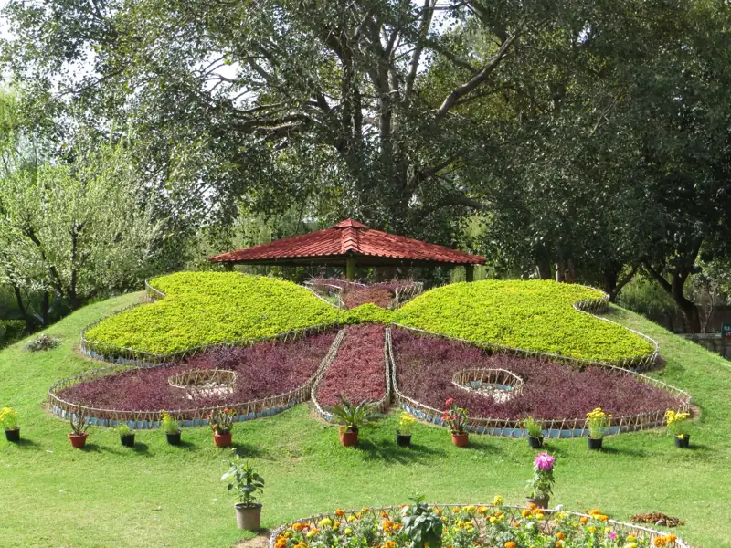 Bikaner to Chandigarh Cab