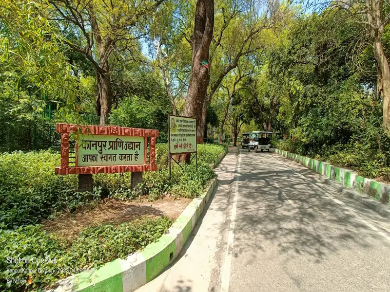 Bikaner to Kanpur Cab