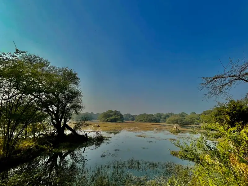 Jaisalmer to Gurgaon Cab