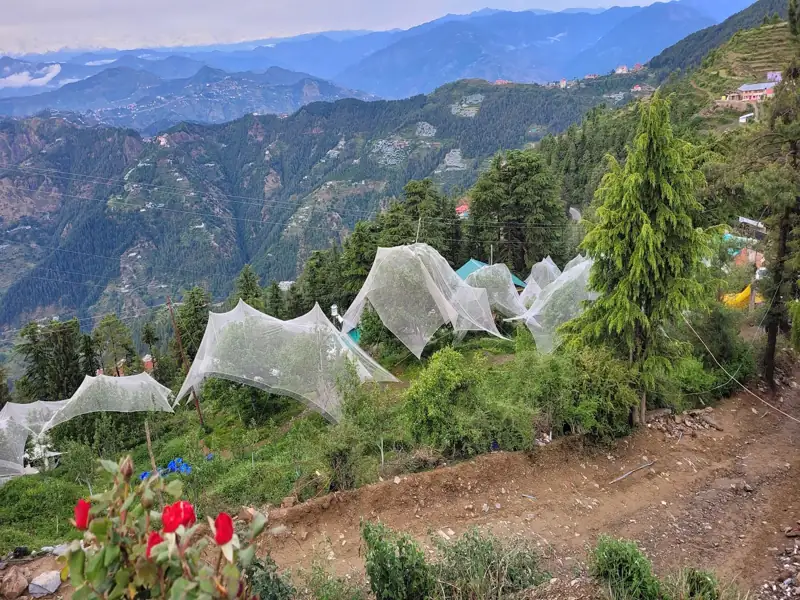 Kota to Kufri Cab