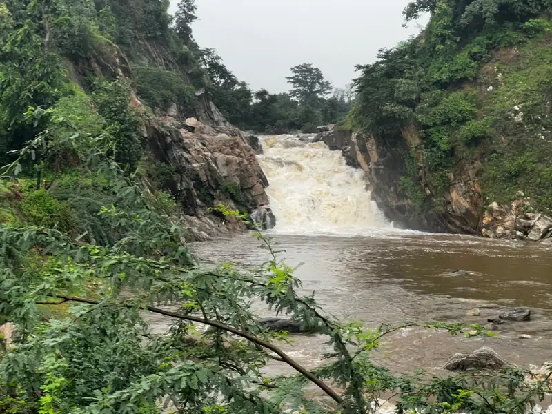 Kota to Kushalgarh Cab