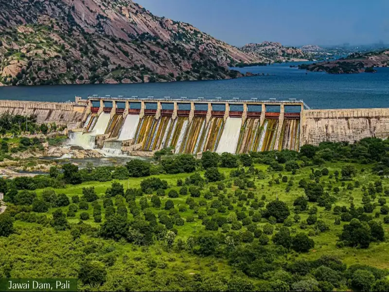 Udaipur to Jawai Dam Cab