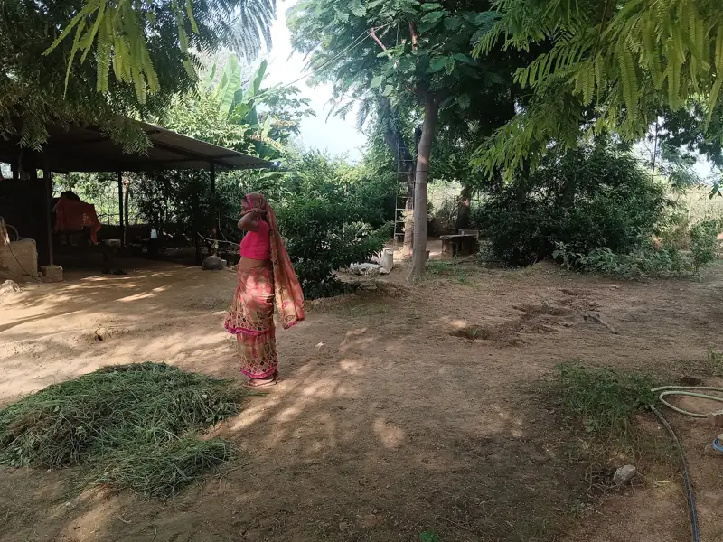 Udaipur to Neemka Thana Cab
