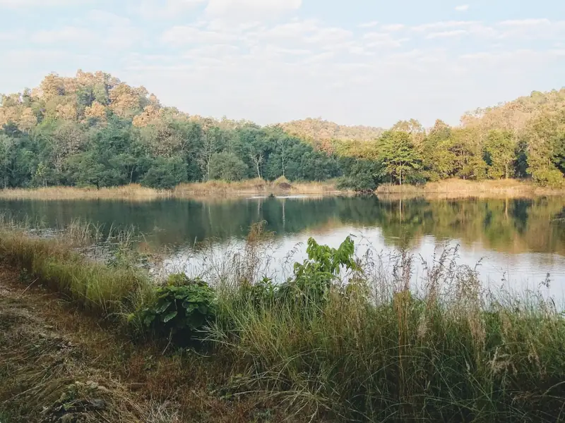 Udaipur to Pench National Park Cab