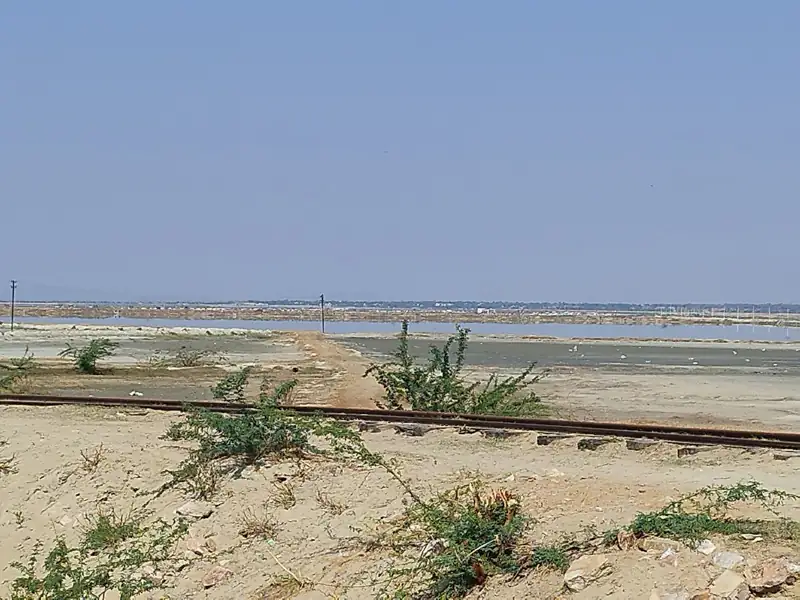 Udaipur to Sambhar Salt Dunes Cab