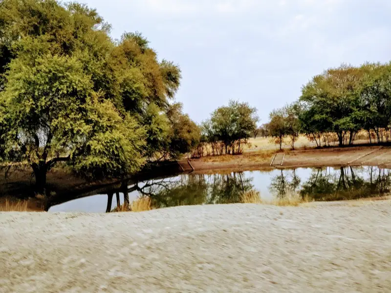Udaipur to Tal Chhapar Sand Dunes Cab
