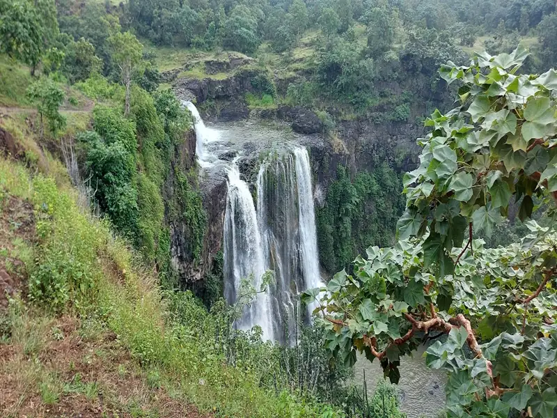 Bhopal to Manpur Cab