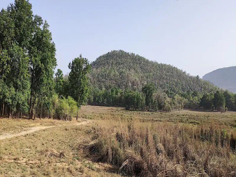 Bhopal to Umaria Cab