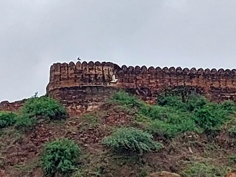 Dewas to Dholpur Cab