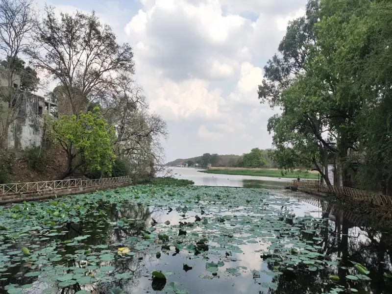 Indore to Karera Bird Sanctuary Cab
