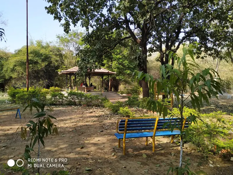 Katni to Gadchiroli Cab