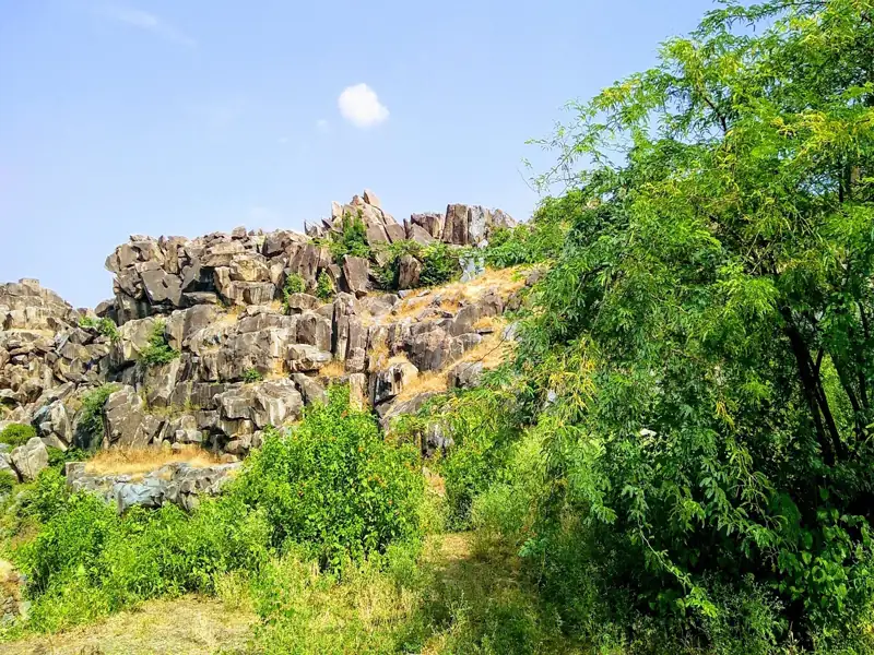 Ratlam to Karera Cab