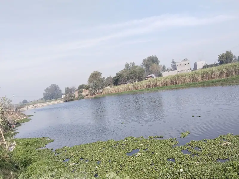 Sagar to Gunnaur Cab