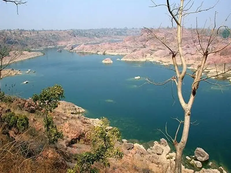 Sagar to Panna National Park Cab