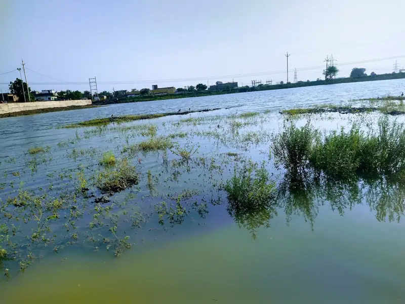 Sagar to Pithampur Cab
