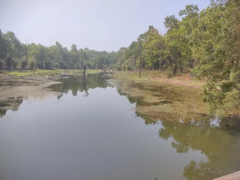 Sehore to Kanha Cab