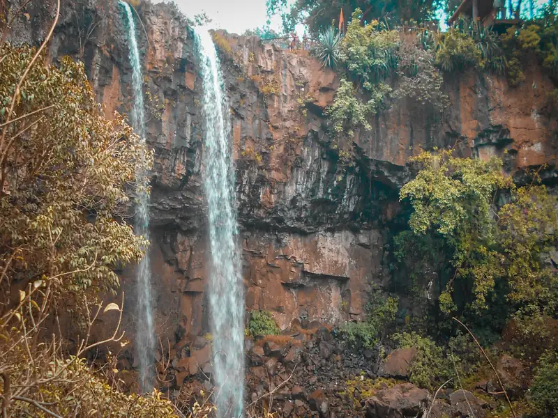 Sehore to Kotma Cab