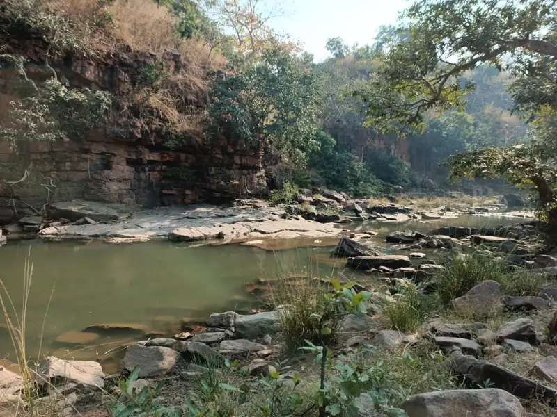 Singrauli to Agasod Cab