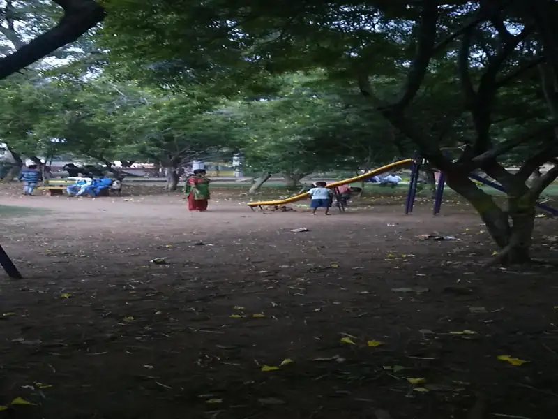 Singrauli to Barhi Cab