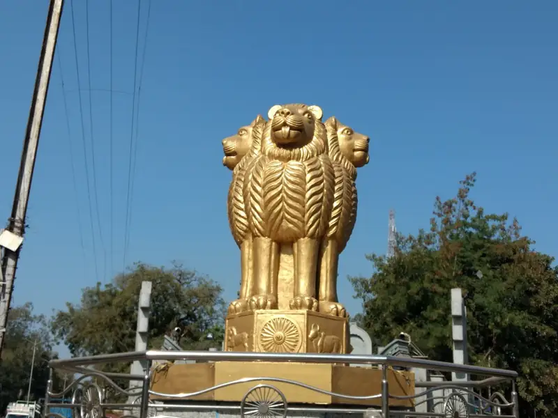 Singrauli to Bhandara Cab