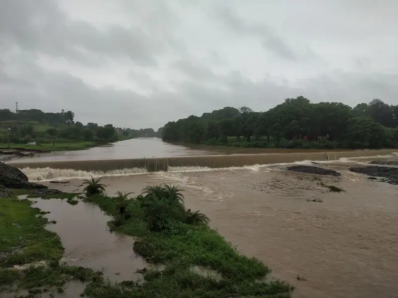 Singrauli to Sardarpur Cab