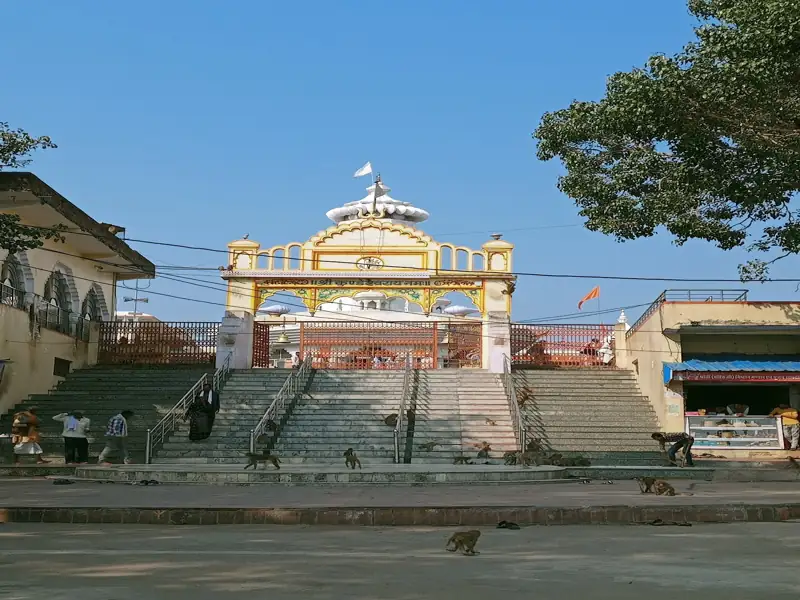 Singrauli to Tikamgarh Cab
