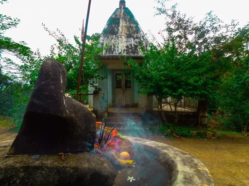 Bhilai to Pharsabahar Cab