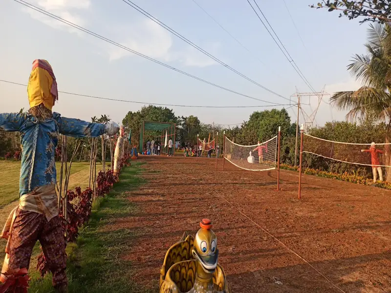 Jagdalpur to Dhamdha Cab