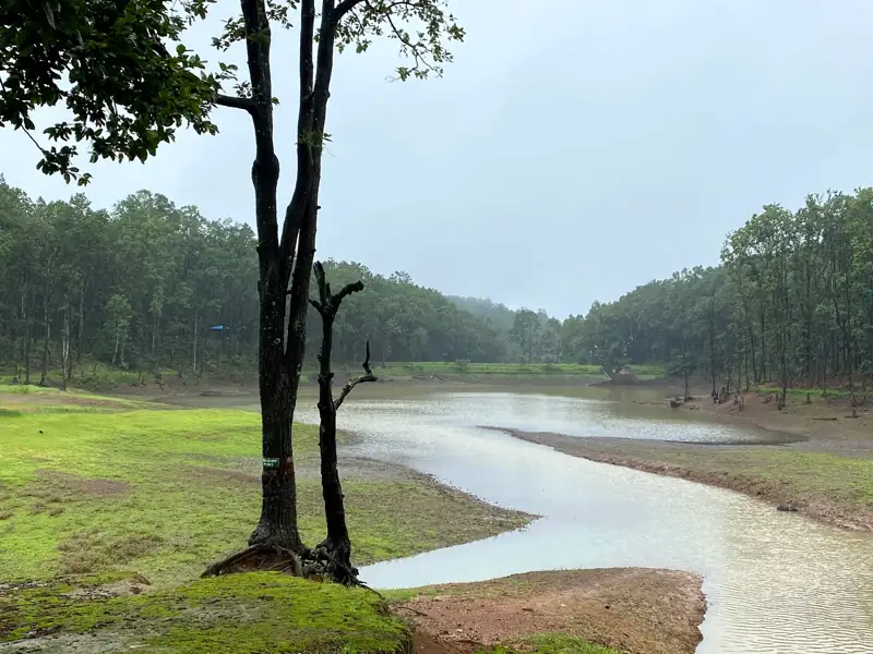 Raipur to Achanakmar Wildlife Sanctuary Cab