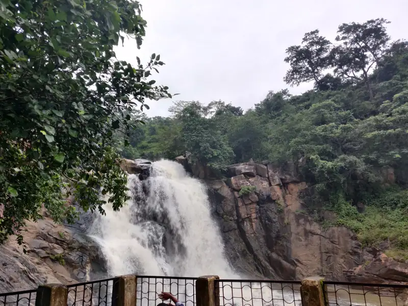 Raipur to Bagicha Cab