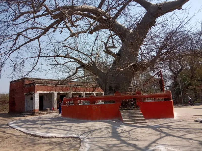 Raipur to Sultanpur Cab