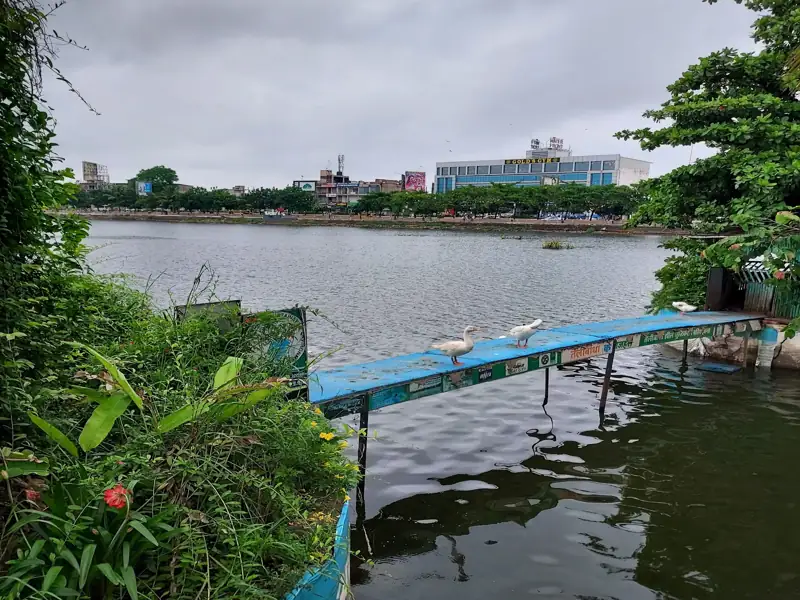 Bhubaneswar to Raipur Cab