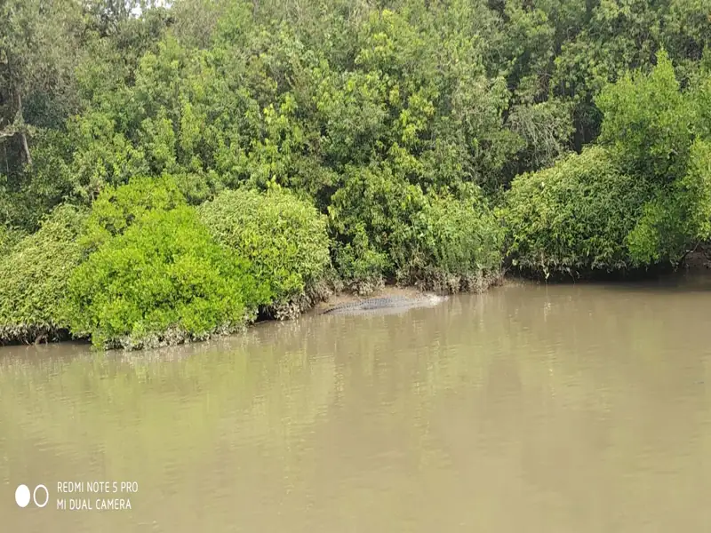 Brahmapur to Bhitarkanika Cab
