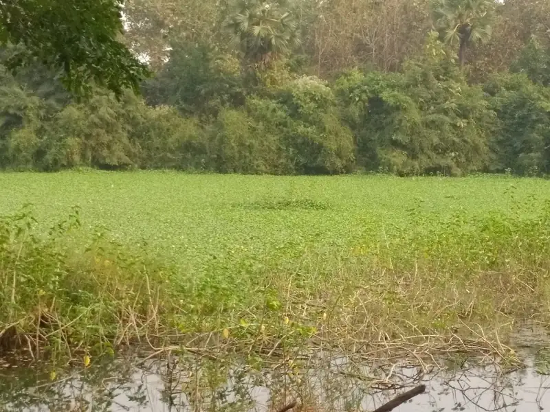 Brahmapur to Narsipatnam Cab