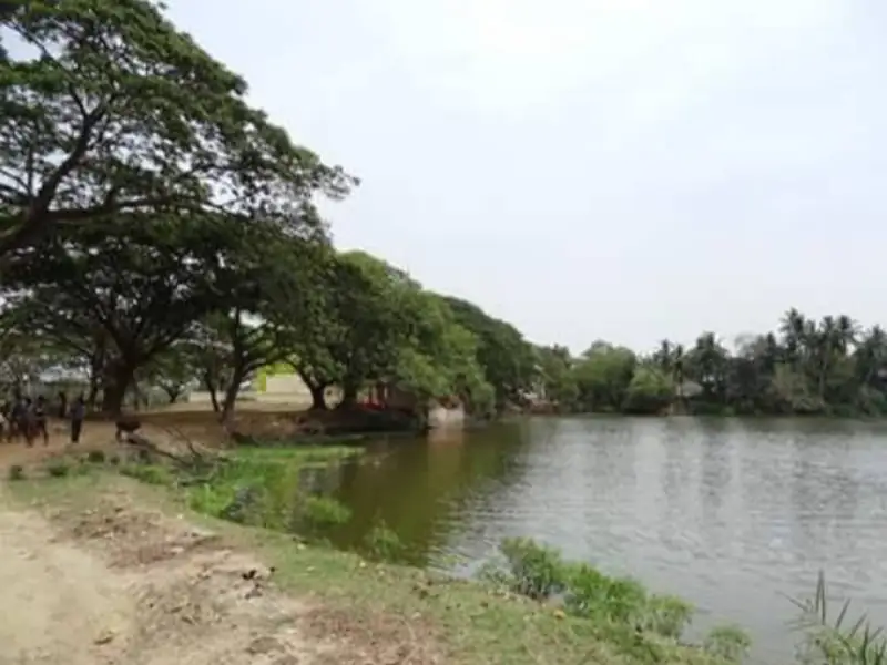 Cuttack to Dhamnagar Cab