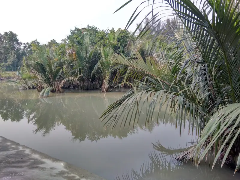 Cuttack to Sundarbans Cab