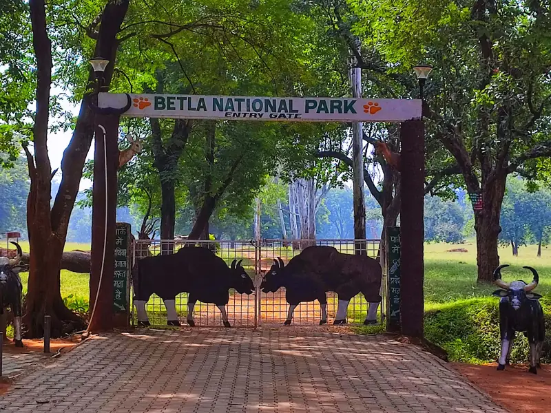Konark to Betla National Park Cab