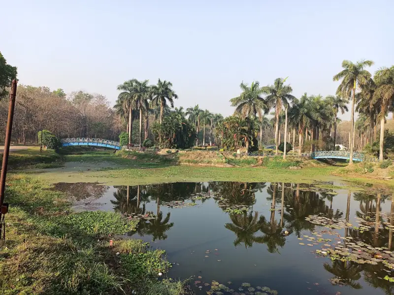 Konark to Bokaro Cab