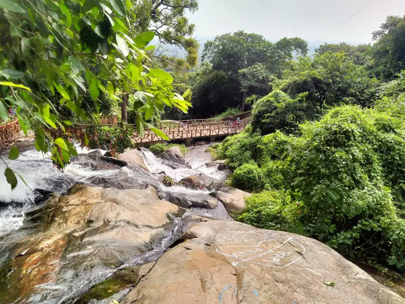Puri to Kuldiha Wildlife Sanctuary Cab