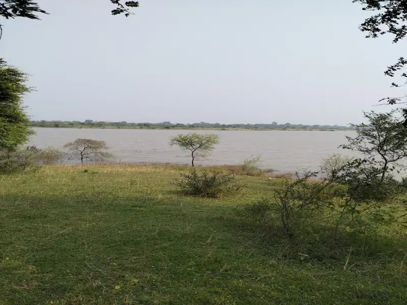 Rourkela to Anandapur Cab