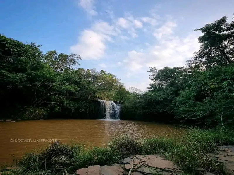 Rourkela to Kodinga Cab