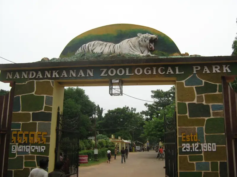 Rourkela to Nandankanan Cab