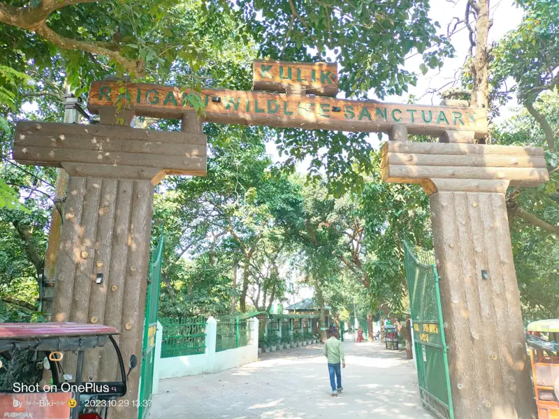 Rourkela to Raiganj Cab