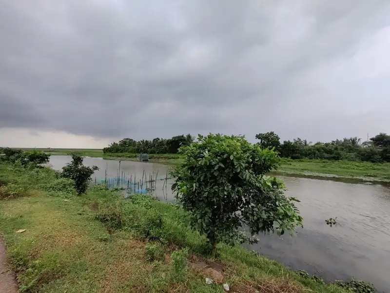 Sambalpur to Mangalajodi Cab