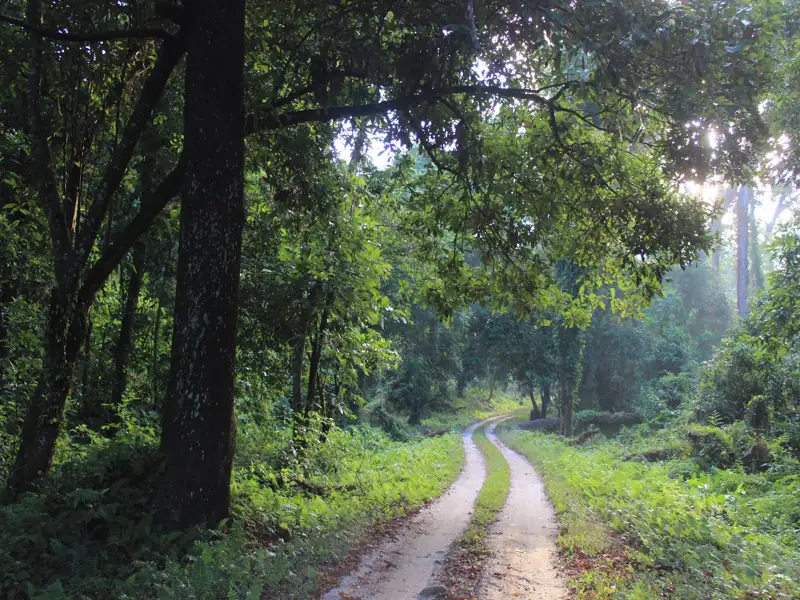 Asansol to Lataguri Cab