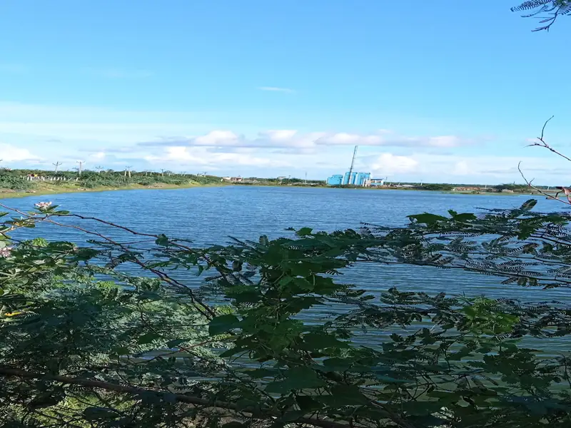 Berhampore to Matla River Cab