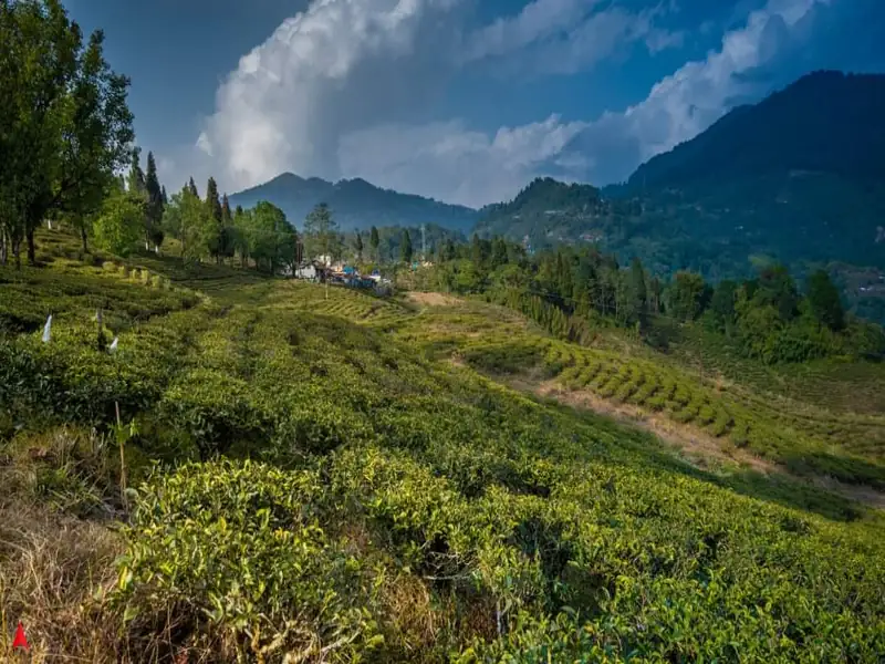 Berhampore to Rishyap Cab