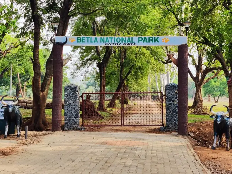 Howrah to Betla National Park Cab