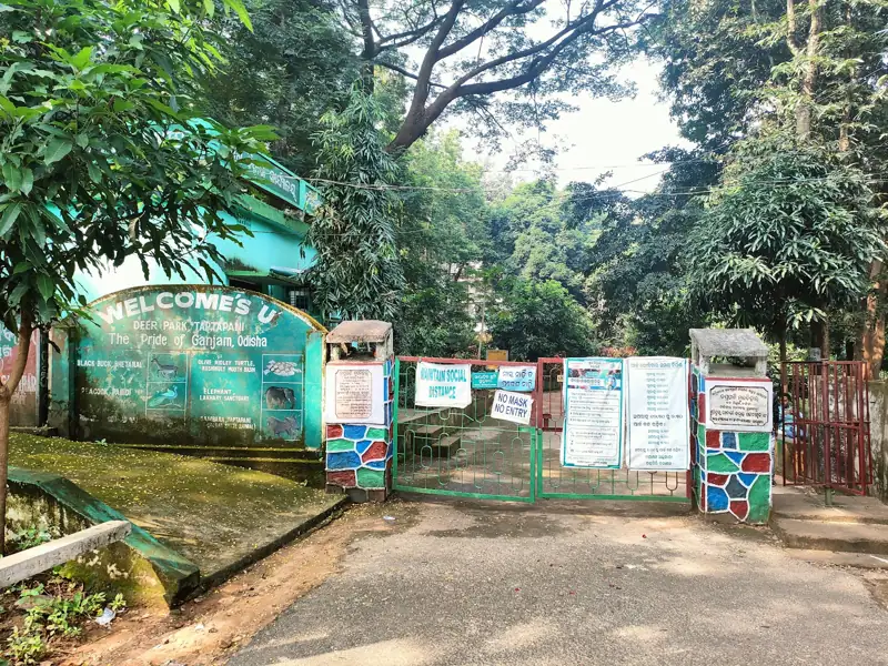 Howrah to Taptapani Cab