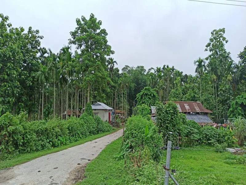 Malda to Birpara Cab